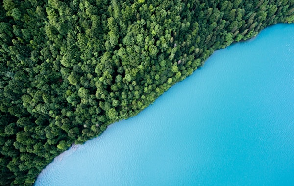 Hệ thống Xử lý Nước thải